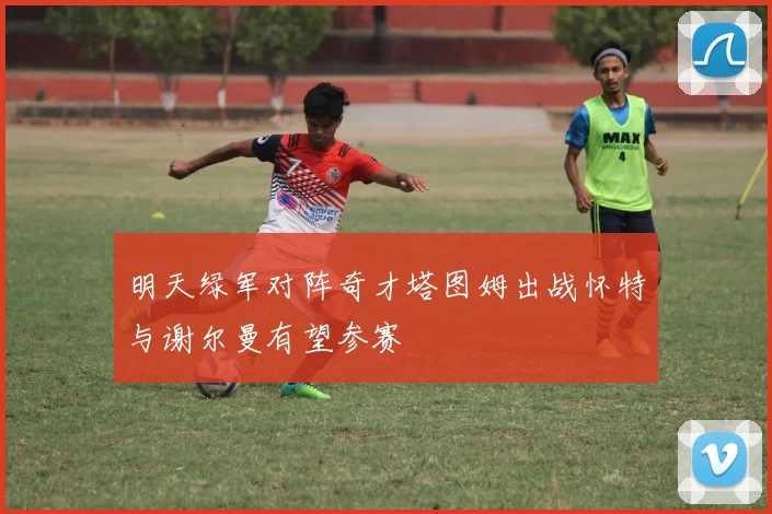 明天绿军对阵奇才塔图姆出战怀特与谢尔曼有望参赛